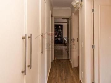 Apartamentos Padrão em Ribeirão Preto