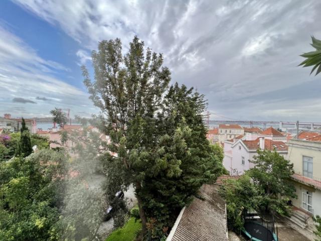 Apartamentos T2, T3, T4 junto á Infante Santo com vários preços