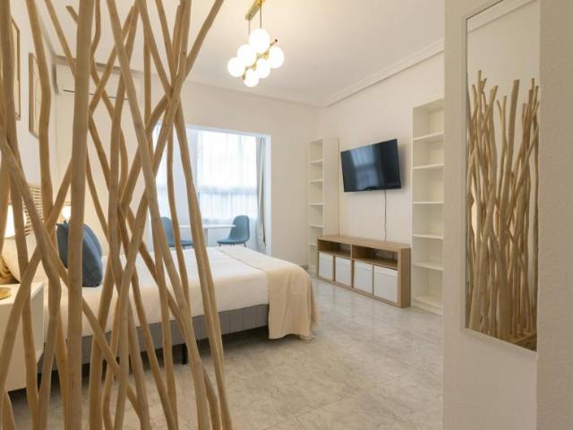 Apartamentos Torrevieja Torrevieja 104037508