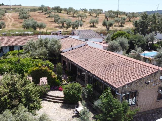 Complejo turístico El Campito Zafra Badajoz