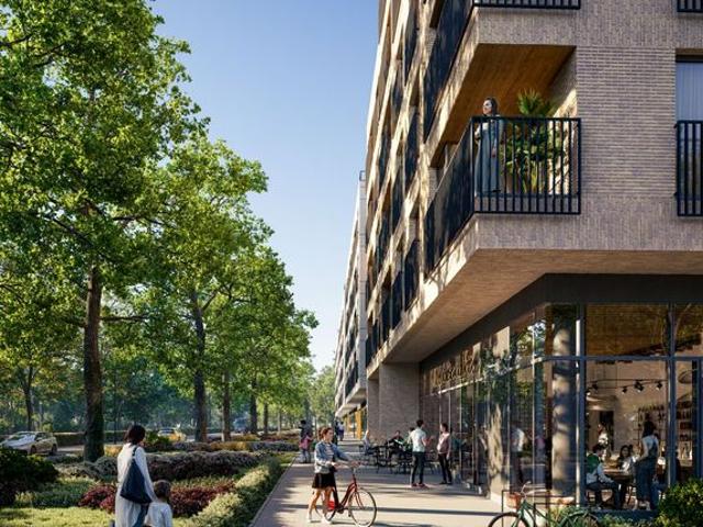 Apartamenty Dębowa