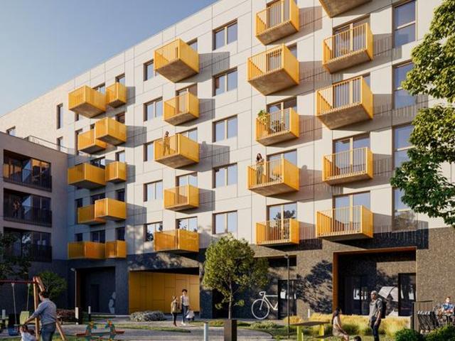 Apartamenty Dębowa