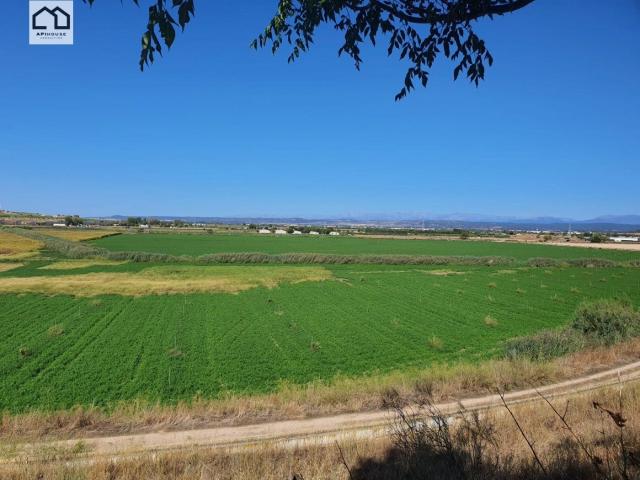 APIHOUSE VENDE FINCA DE REGADIO EN LA VEGA DEL RIO TAJO. PRECIO INICIAL 125.000€