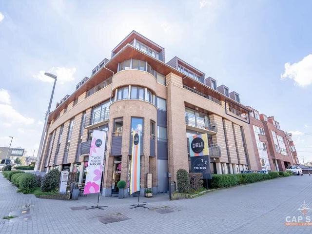 App. 3 chambres + 2 salles d'eau + terrasse + parking