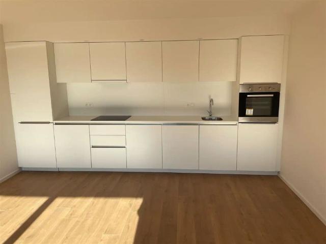 App te huur in Residentie Scheldevleugel