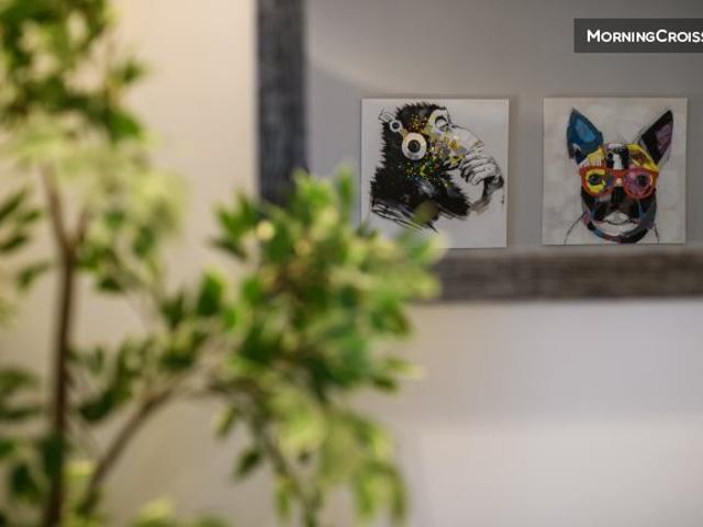 Appart comfortable au centre ville
