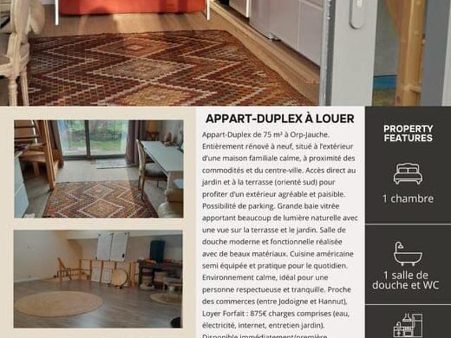 Appart Duplex rénové, terrasse sud, Orp Jauche