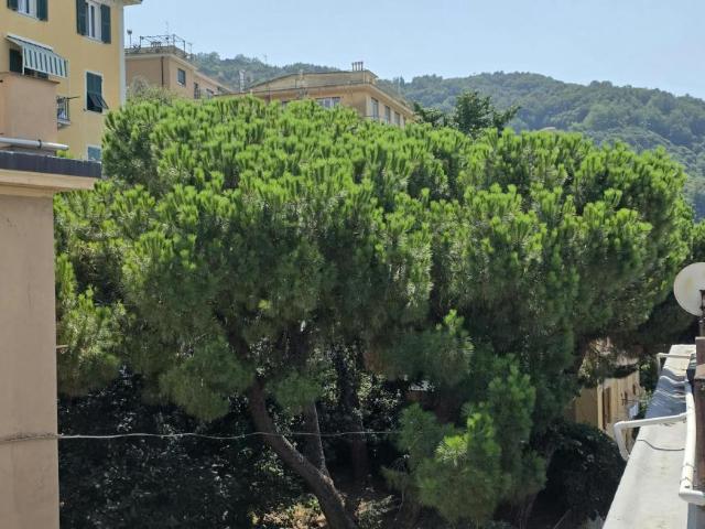 Appartamento 1 camere da letto, Genoa Genoa 16159 DS104958364