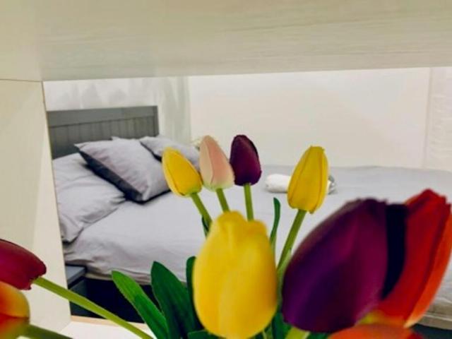 Appartamento 1 camere da letto, Florence Florence 50125 DS102246456