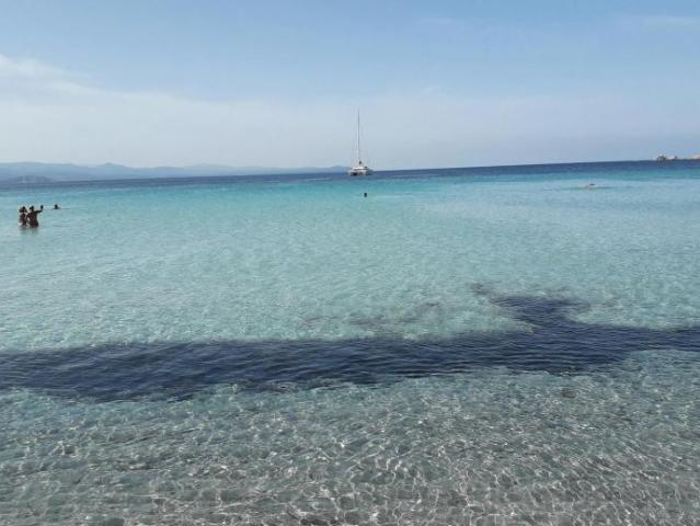 Appartamento 1 camere da letto, Santa Teresa Gallura Santa Teresa Gallura 07028 ES103488742