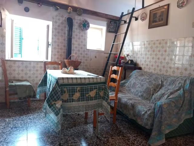 Appartamento 1 camere da letto, Segni Segni 00037 ES98427606