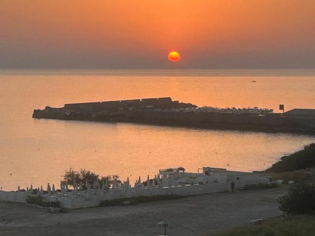 Appartamento 1 camere da letto, Palermo Palermo DS105487978
