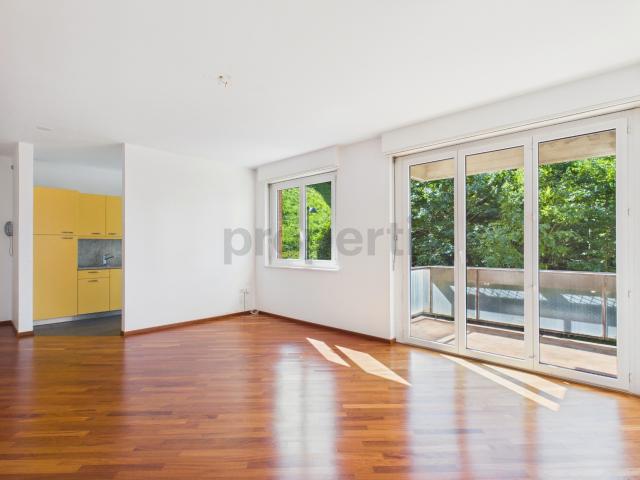 Appartamento 2,5 locali Vista Lago, Piscina Condominiale,e Roof Top a 360° a Paradiso