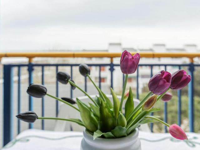 Appartamento 2 camere da letto, Lido delle Nazioni Lido delle Nazioni 44022 ES95691686