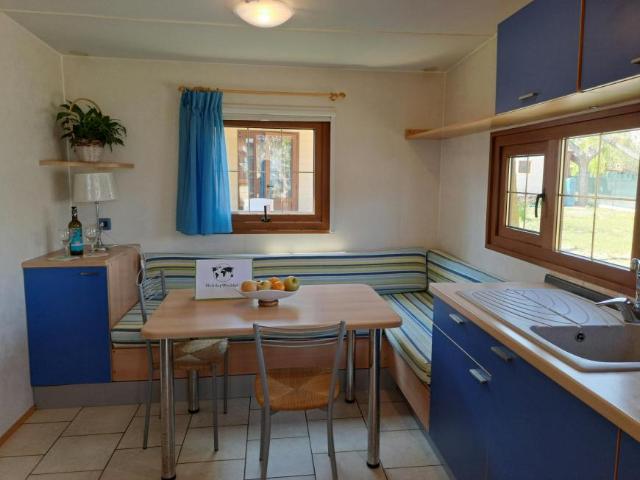 Appartamento 2 camere da letto, Montignano Montignano 60019 DLS102850560