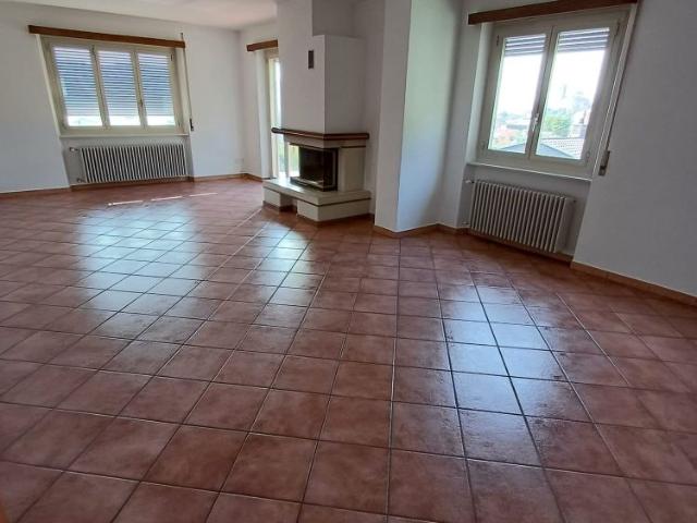 Appartamento 4,5 con giardino