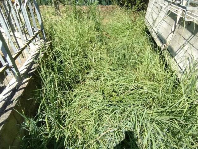 Appartamento con giardino a Massa