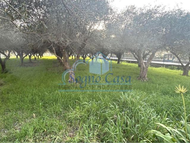 Appartamento con giardino a Sarzana