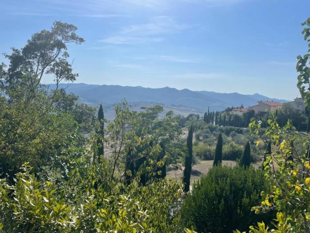 Appartamento con giardino a Pomarance