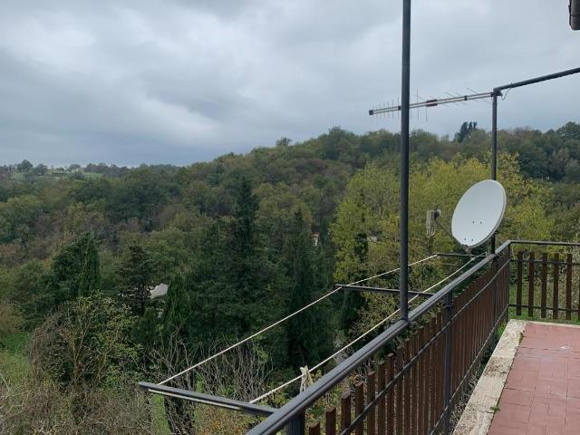 Appartamento con giardino, Semproniano petricci