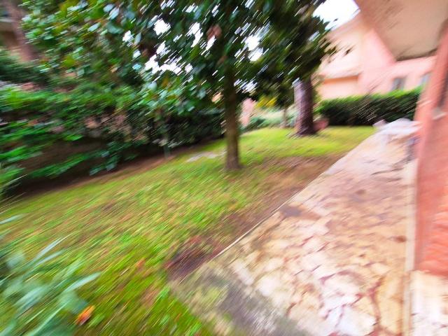 Appartamento con giardino, Siena scacciapensieri