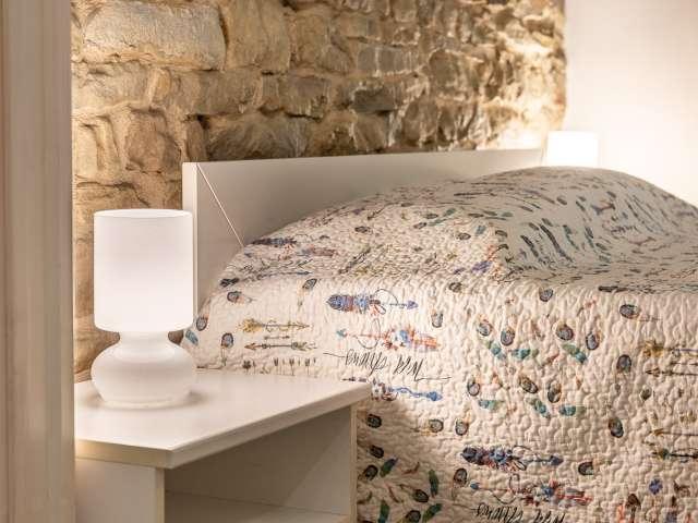 Appartamento con una camera da letto in affitto a Torino