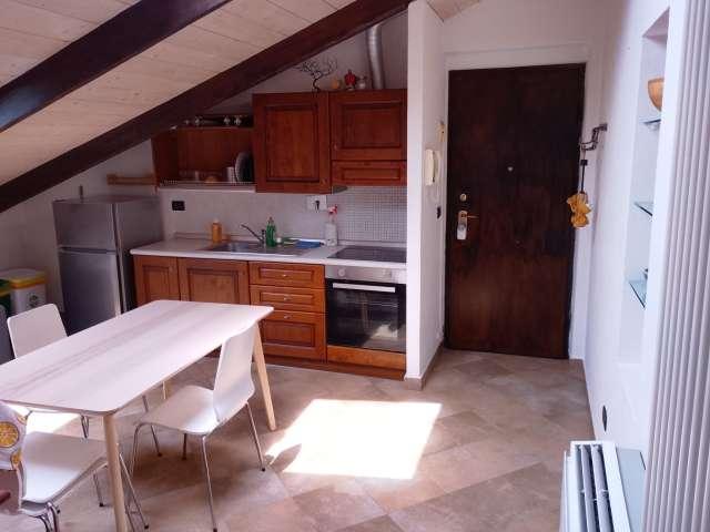 Appartamento con 1 camera da letto in affitto a Aurora, Torino