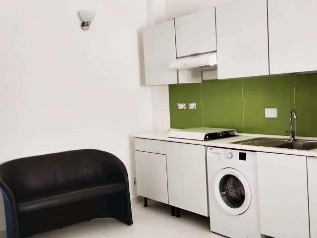 Appartamento con 1 camera da letto in affitto a Borgo San Paolo, Torino