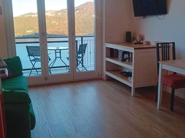 Appartamento con 1 camera da letto in affitto a Castel Gandolfo