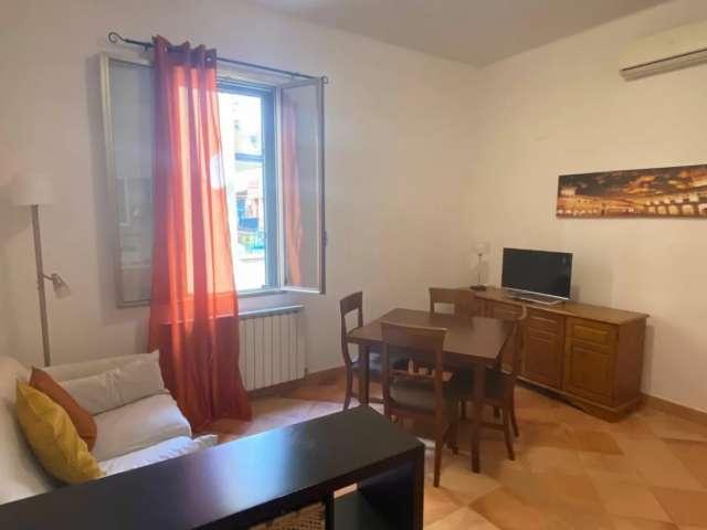 Appartamento con 1 camera da letto in affitto a Murri, Bologna