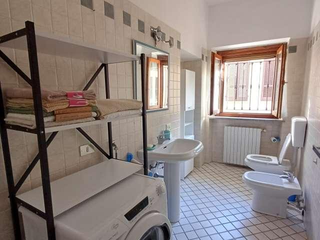 Appartamento con 1 camera da letto in affitto a Pavia