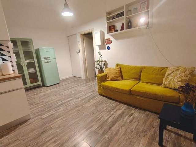 Appartamento con 1 camera da letto in affitto a Pigneto, Roma