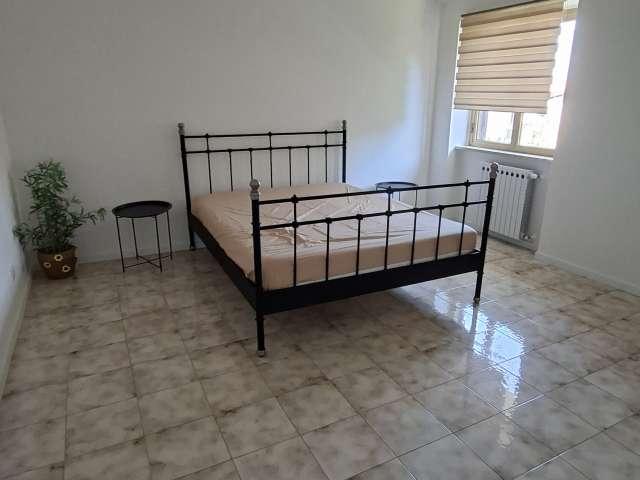 Appartamento con 1 camera da letto in affitto a Roma