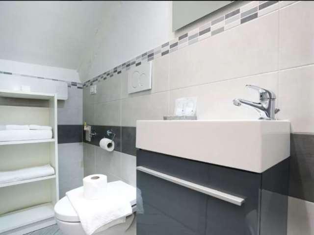 Appartamento con 1 camera da letto in affitto a San Salvario, Torino
