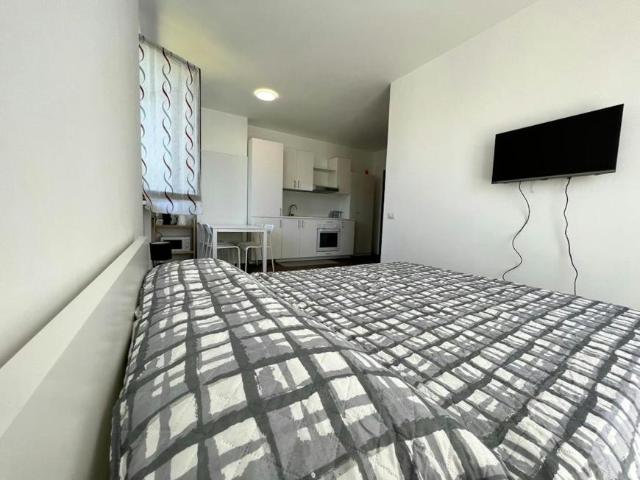 Appartamento Cardano al Campo Cardano al Campo 21010 DS95566689