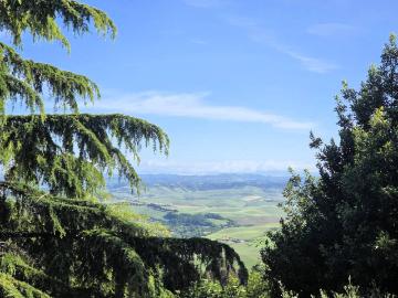 Appartamento al piano primo con giardino in vendita a Lajatico, Orciatico
