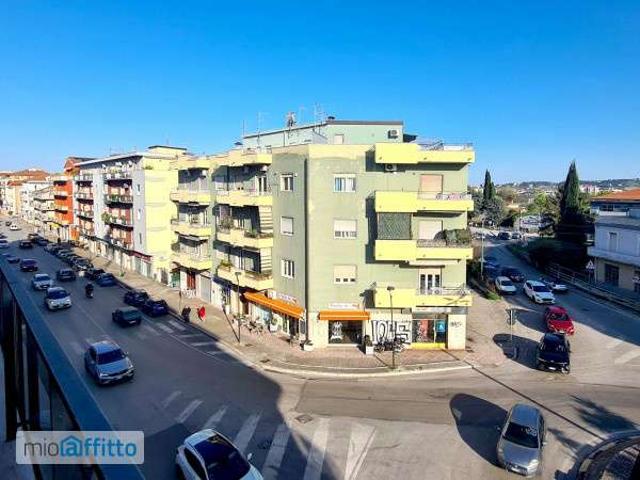 Appartamento arredato Colli