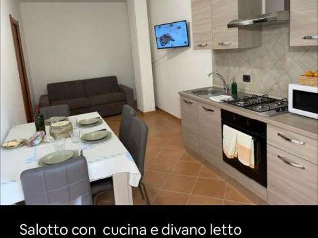 Appartamento arredato con piscina Codaruina