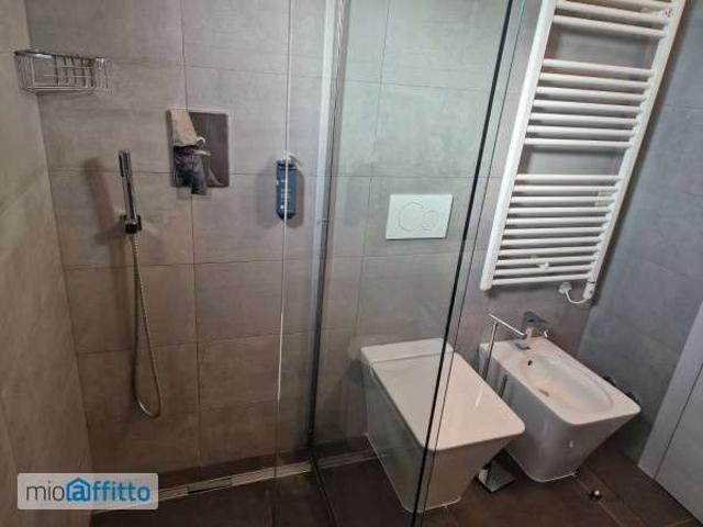 Appartamento arredato con piscina Centro