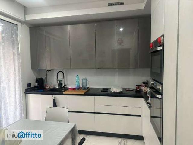 Appartamento arredato con terrazzo Melzo