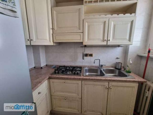 Appartamento arredato con terrazzo Mirafiori nord