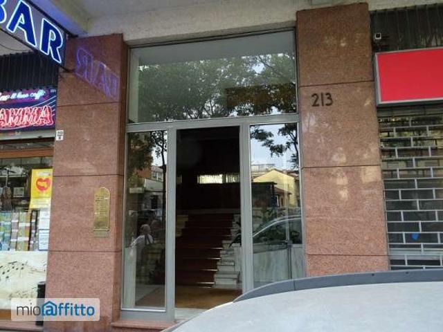 Appartamento arredato con terrazzo Mirafiori nord