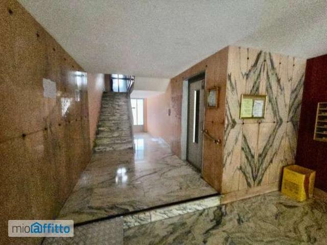 Appartamento arredato con terrazzo Mirafiori nord