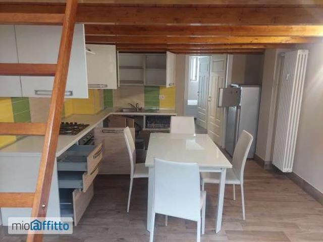 Appartamento arredato con terrazzo Mirafiori nord