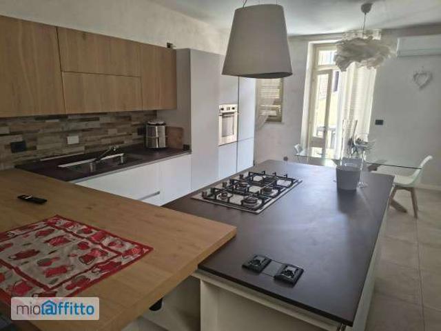 Appartamento arredato con terrazzo Moncalieri