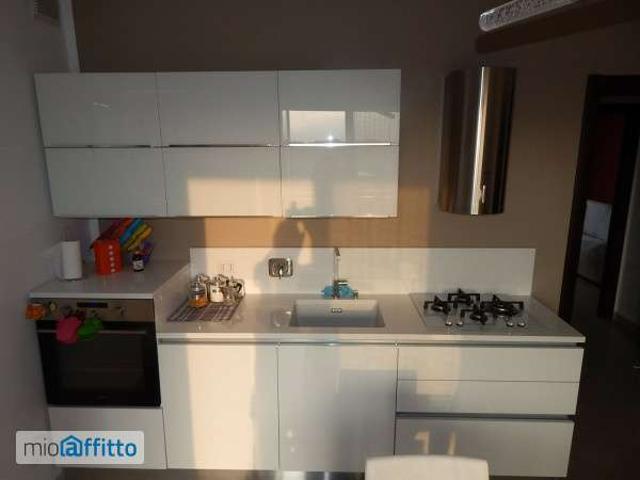Appartamento arredato con terrazzo Moncalieri