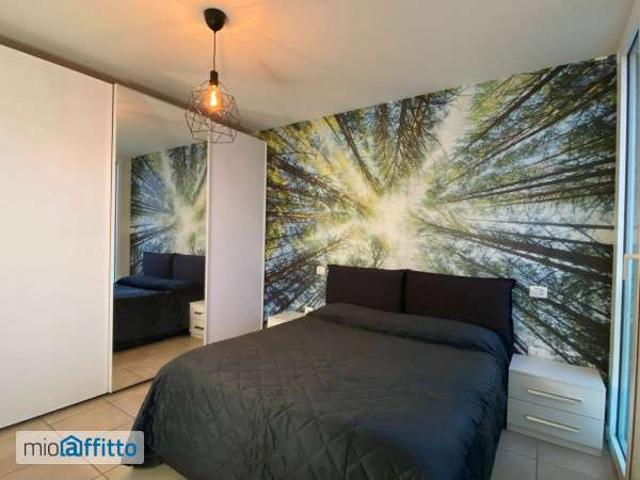 Appartamento arredato con terrazzo Assago
