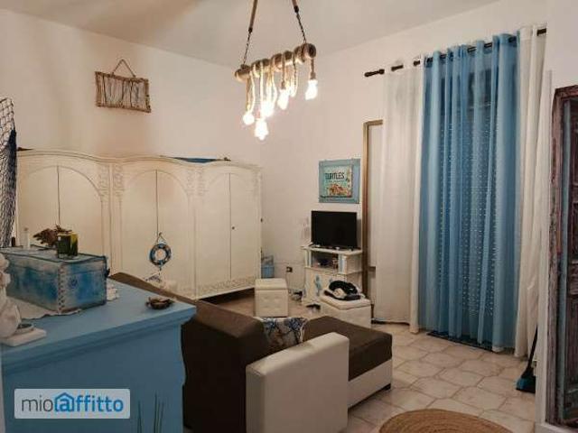 Appartamento arredato con terrazzo Balestrate foce