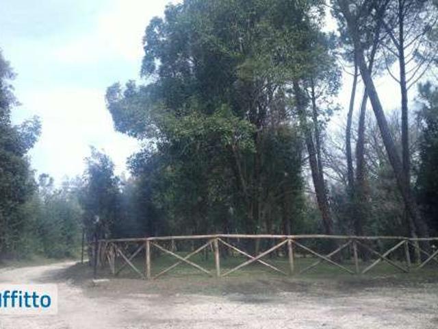 Appartamento arredato con terrazzo Boccea, torrevecchia, pineta sacchetti, selva candida, ottavia