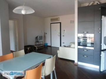 Appartamento arredato con terrazzo Bolognina
